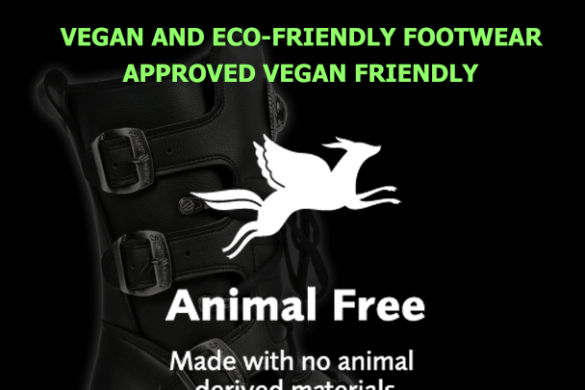 vegan store